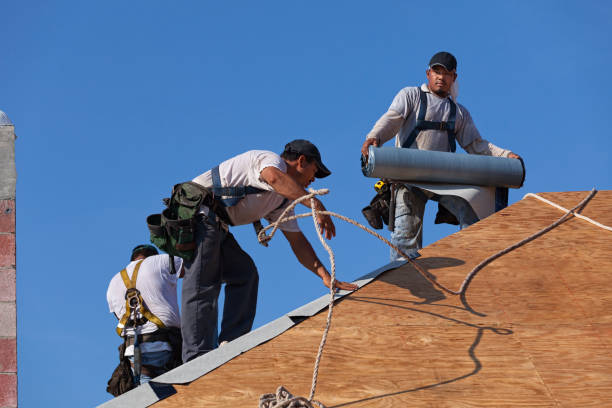Best Metal Roofing Contractor  in Sherwood, WI